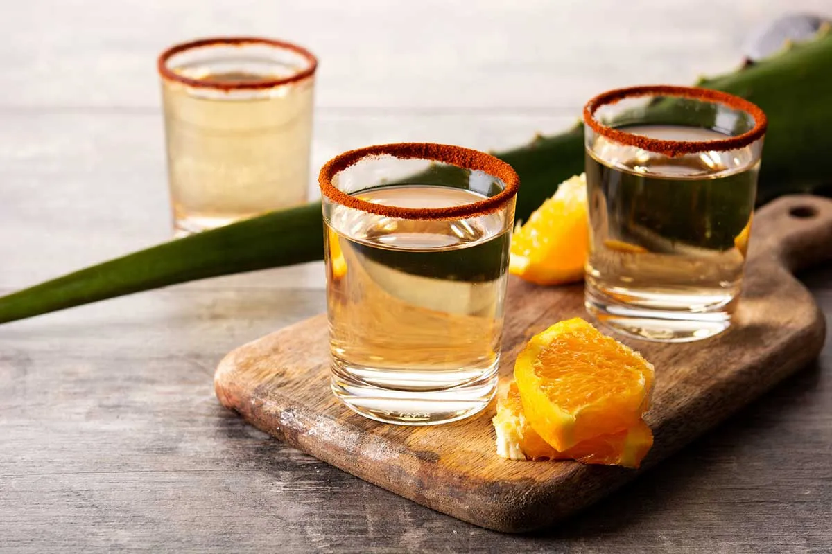 Productores de mezcal artesanal enfrentan mayores costos frente a bebidas industriales