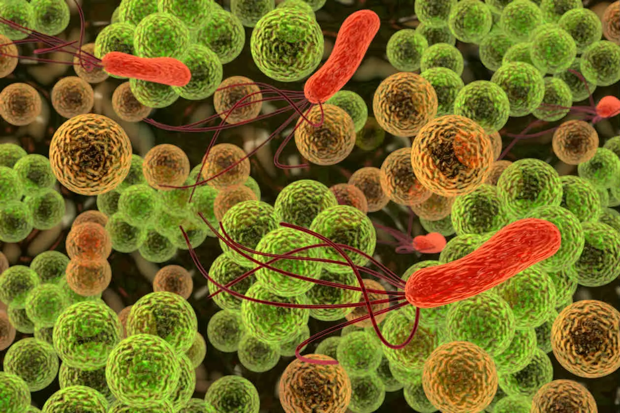 microbios