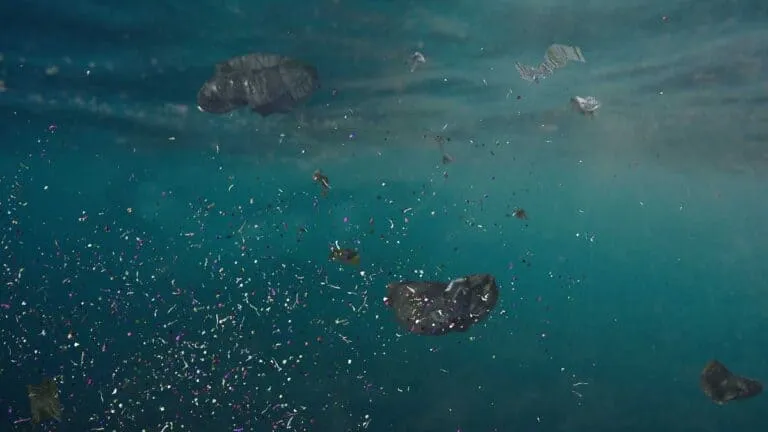 microplasticos
