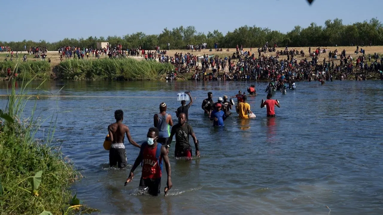 migracion