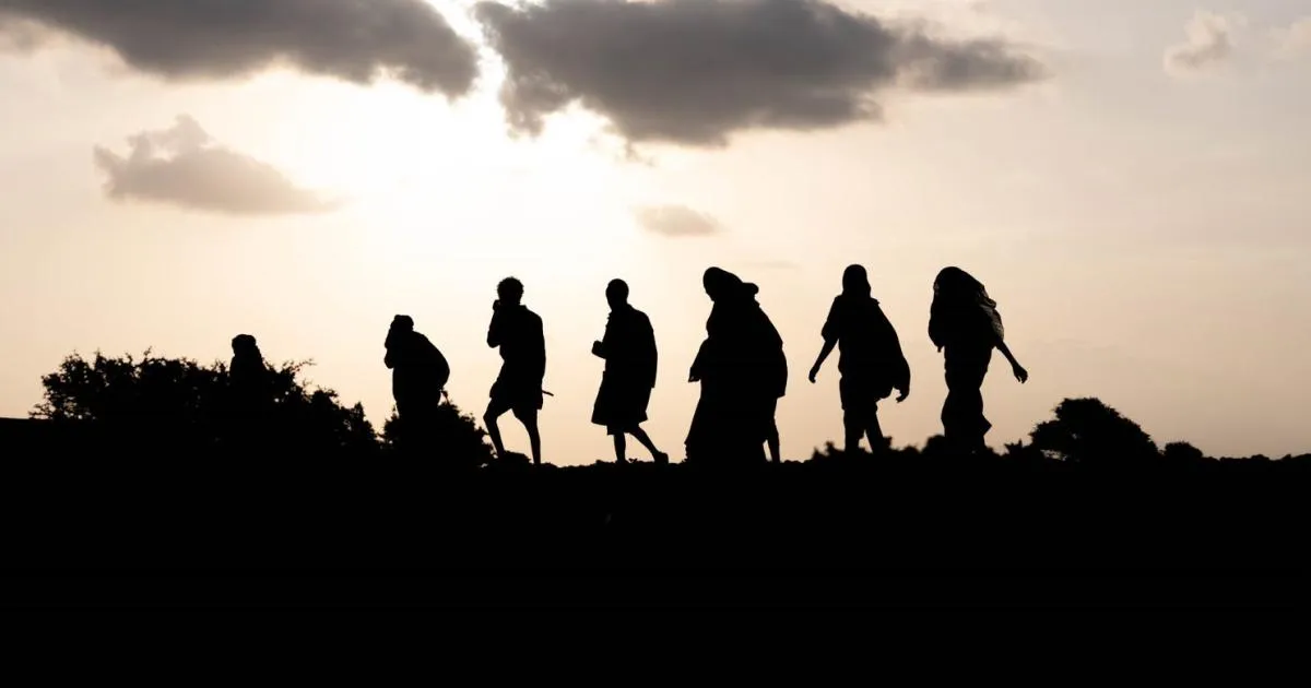 migracion
