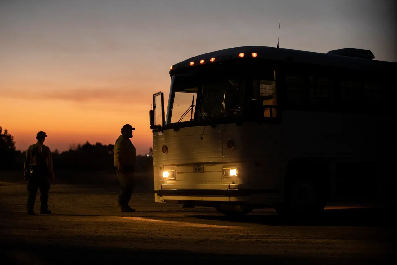 autobus, frontera