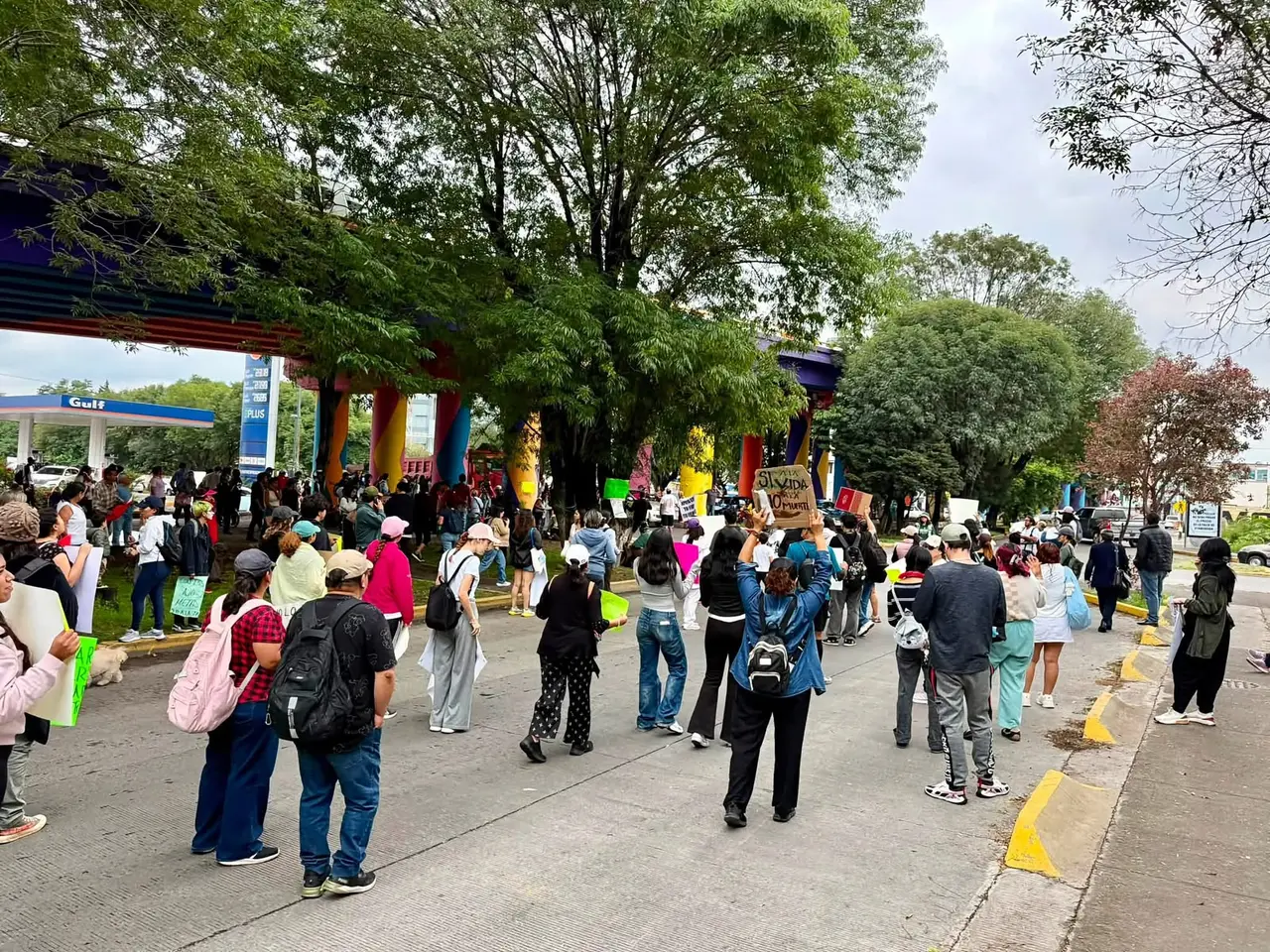 protesta en Morelia por tala de árboles para obras del Morebus 