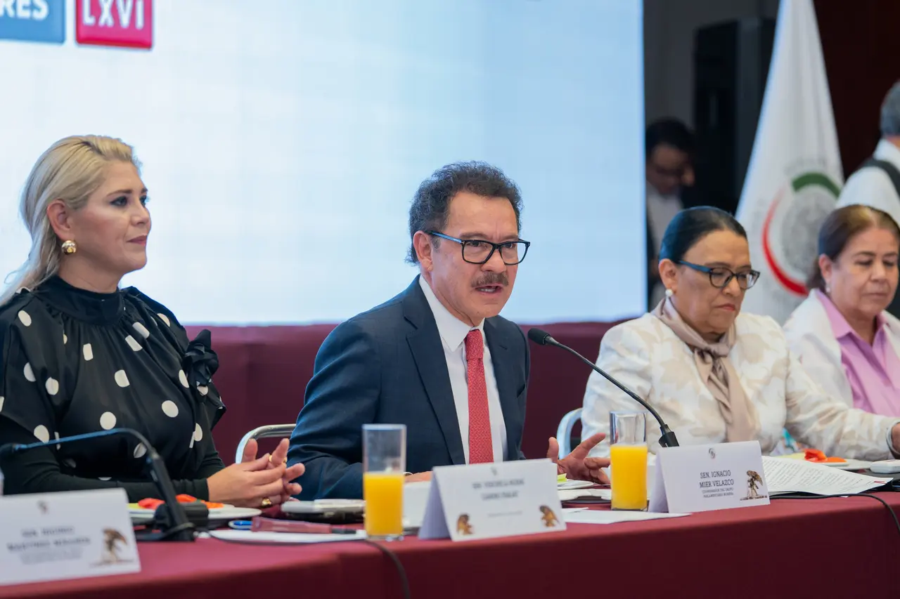 Rosa Icela Rodríguez durante la quinta reunión plenaria de senadores de Morena en el Senado
