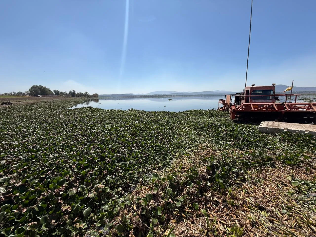Habitantes de comunidades cercanas a la presa Endhó enfrentan una intensa plaga de mosco Cúlex