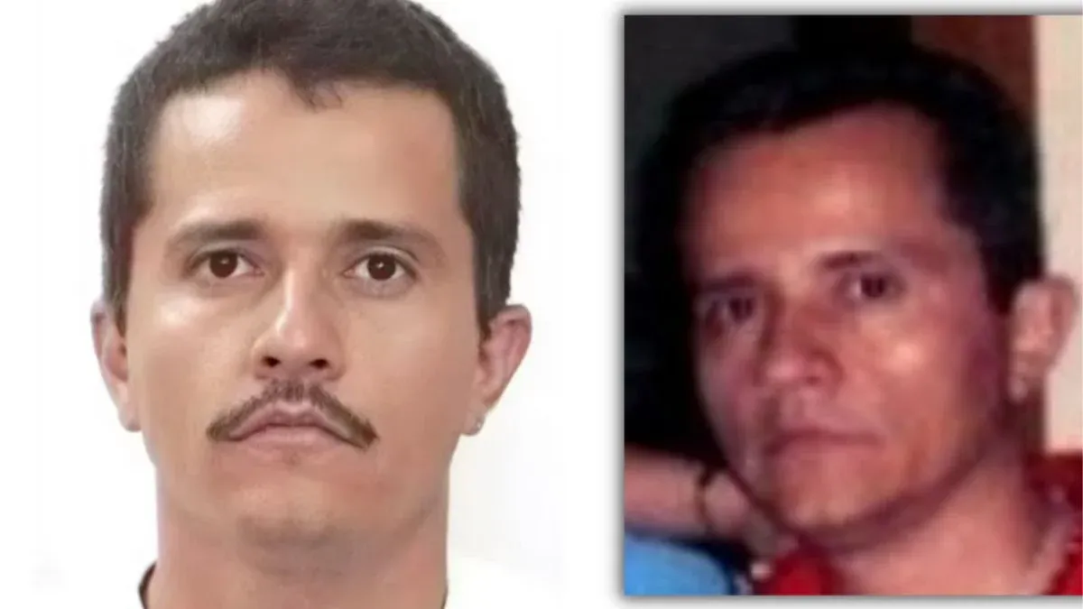 nemesio
