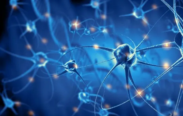 NEURONAS