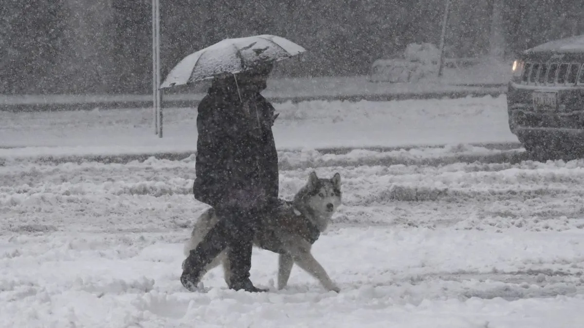 nevadas