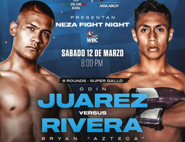 nezafight