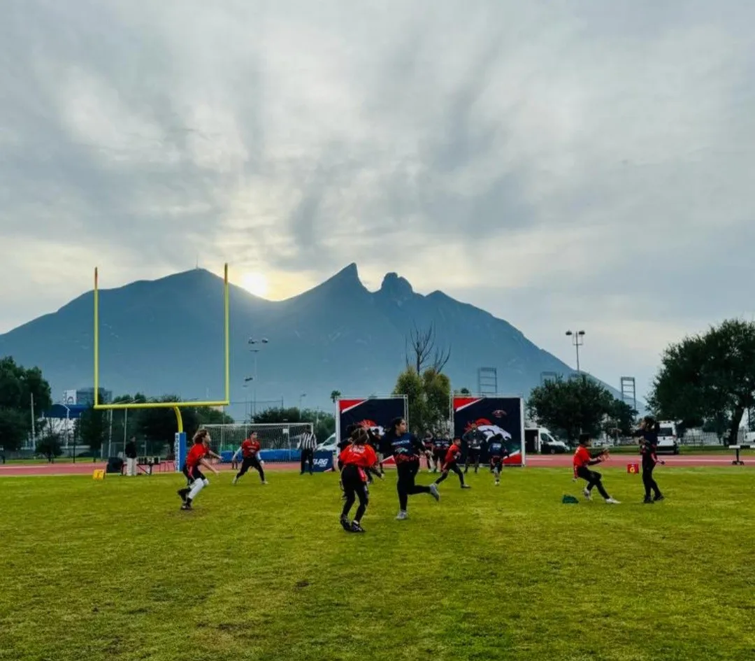 nflflag