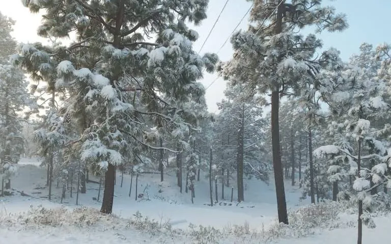 nieve
