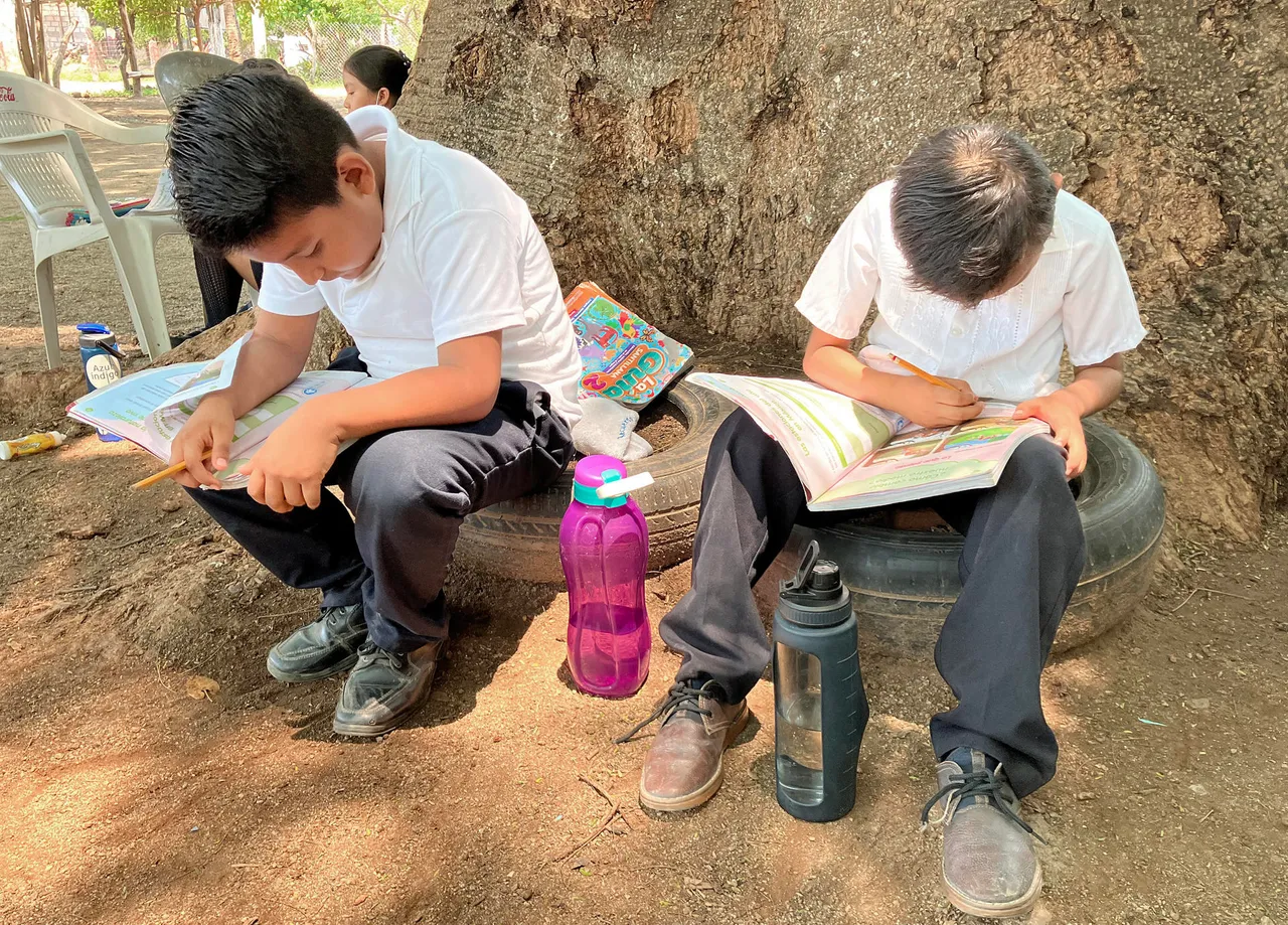 “Existe mucha incertidumbre por el recorte al ciclo escolar, si no hay escuelas que opciones dan”: Mexicanos Primero