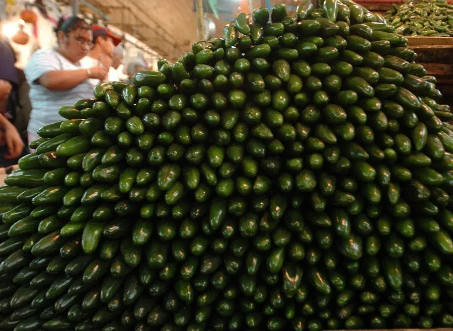 “No hay señales de que los chiles estén contaminados”: COFEPRIS | FOTO EFE