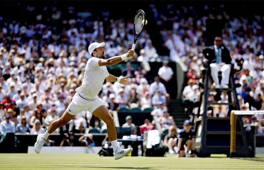 novak