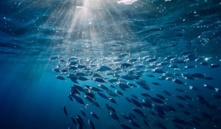 oceanos