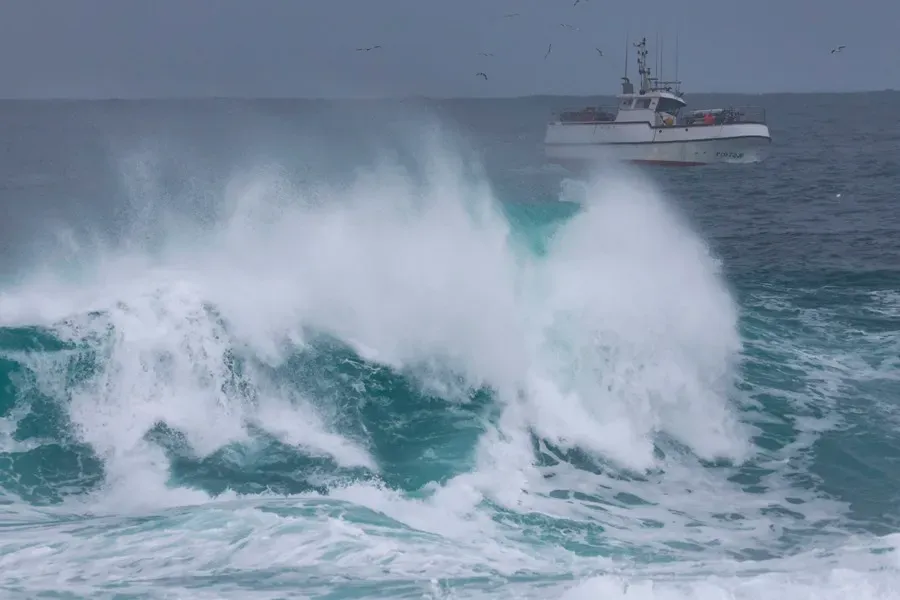 olas-3
