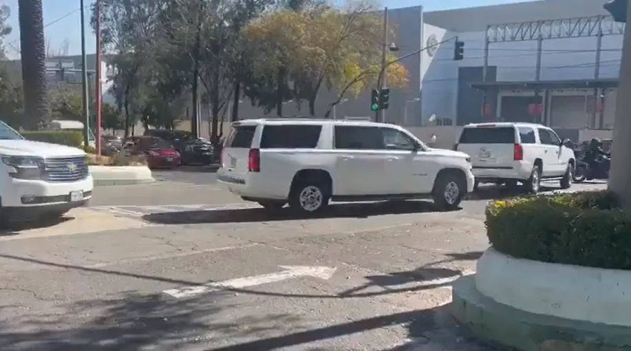 ovi