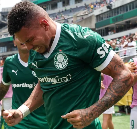 palmeiras