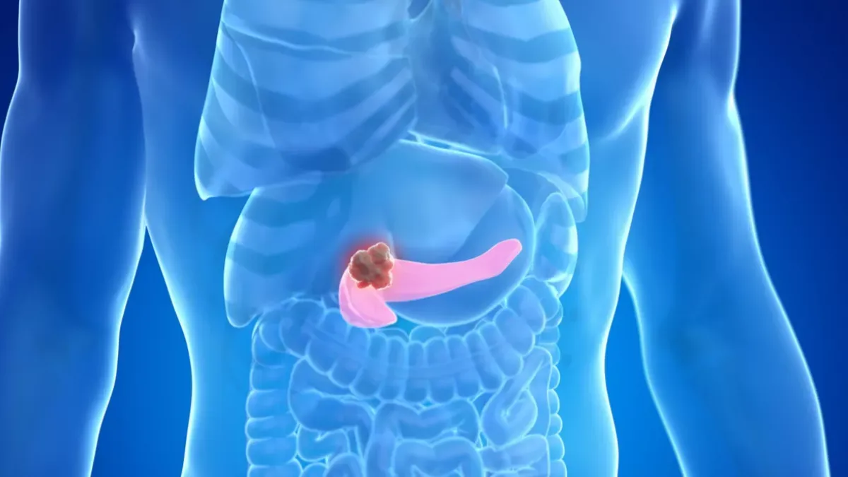 pancreas
