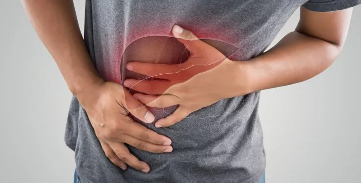 pancreas