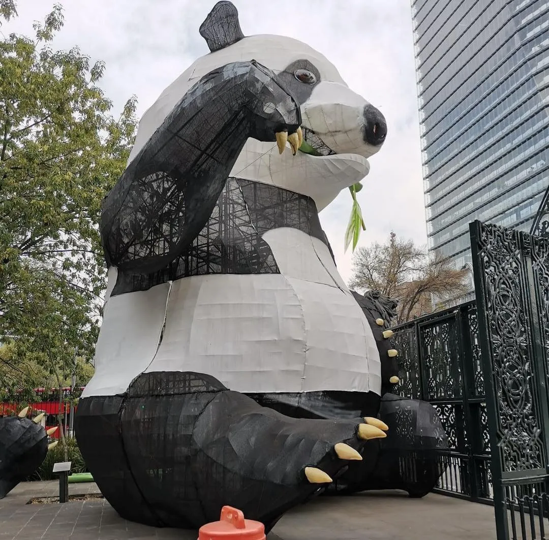 panda