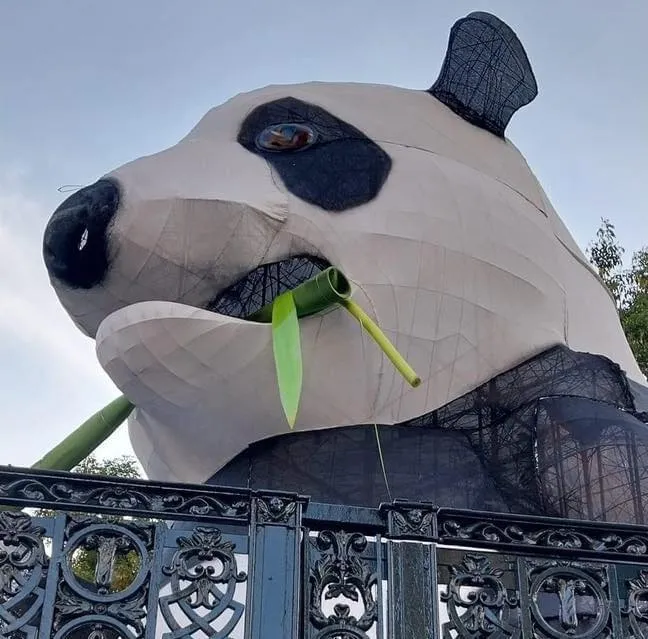 panda2