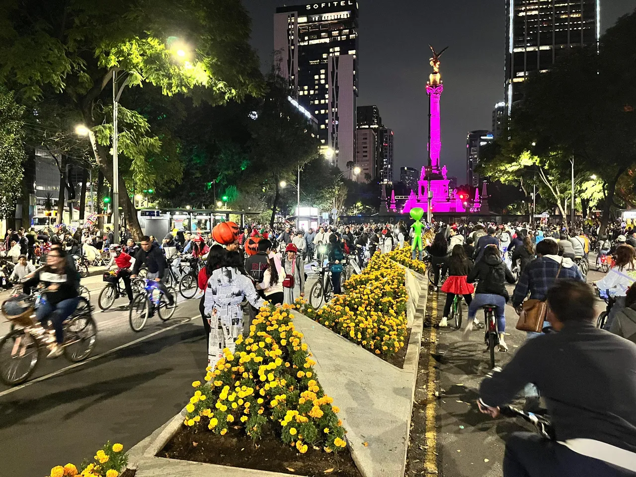 paseo1