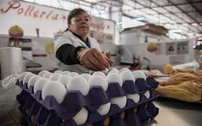 pequenos