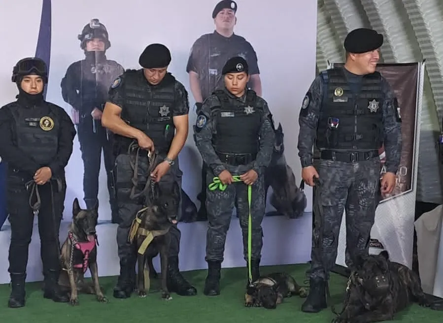 perros