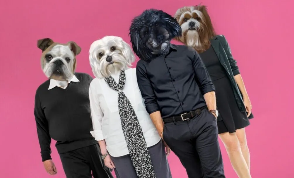 perros