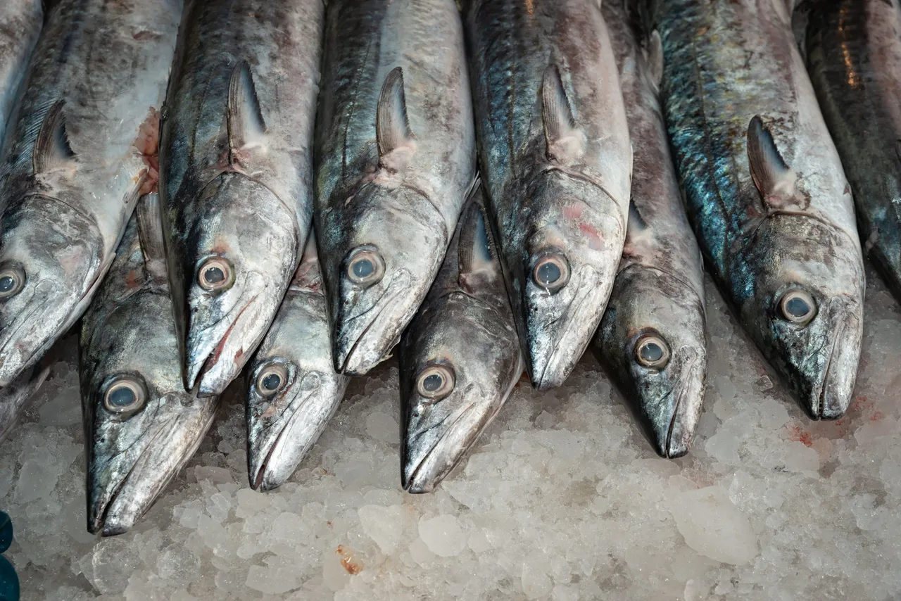 Oceana denuncia que cuatro de cada diez pescados vendidos en México son sustituidos