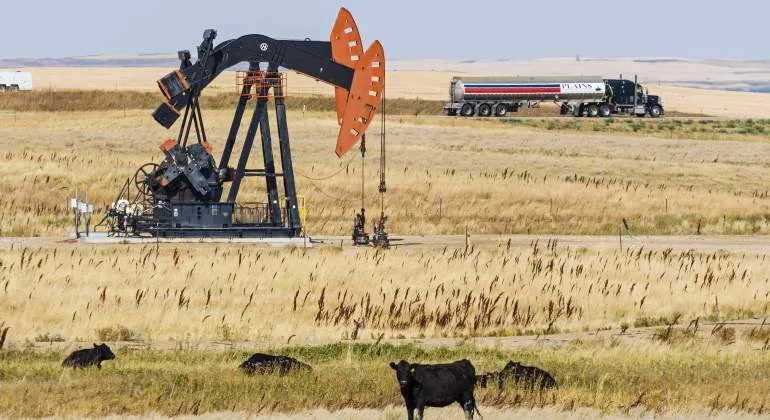 petrole
