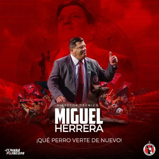 piojo xolos