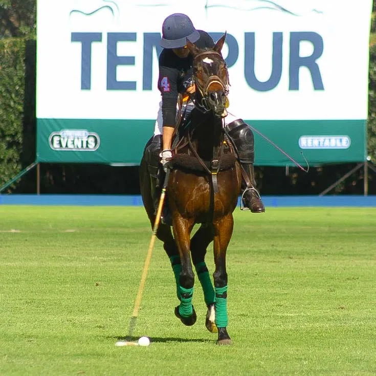 polo1