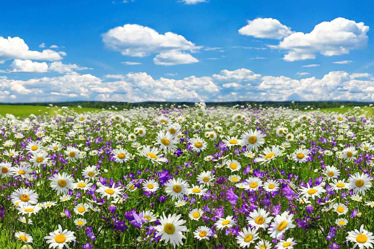 primavera