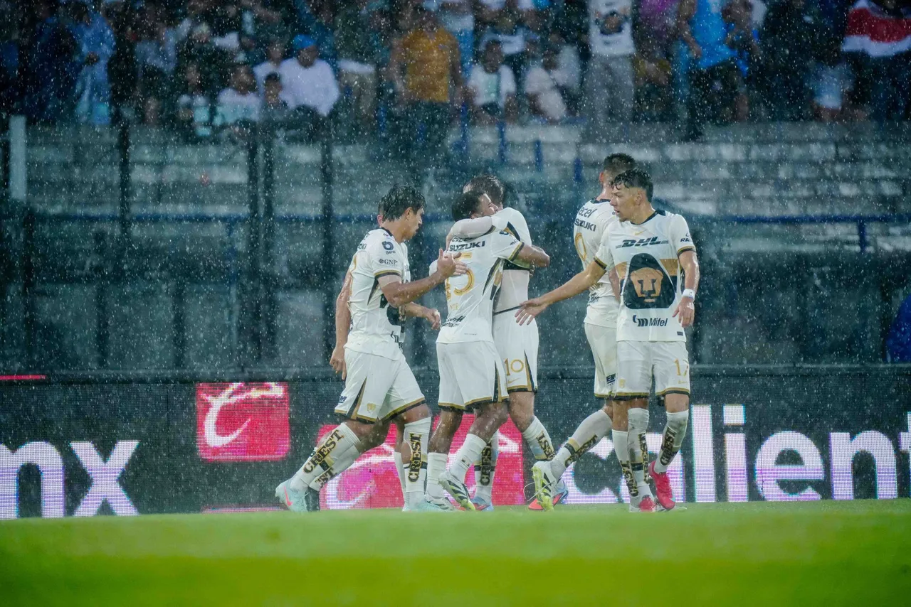 pumas