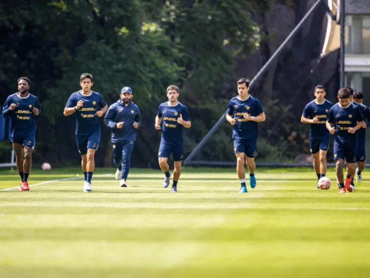 pumas