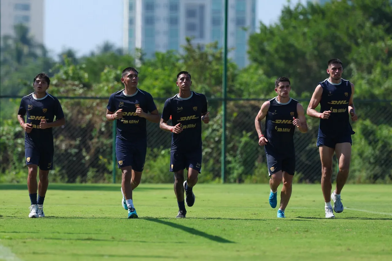 pumas playa