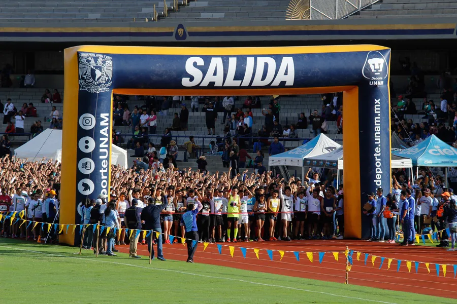 pumathon dos