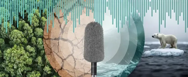 radio