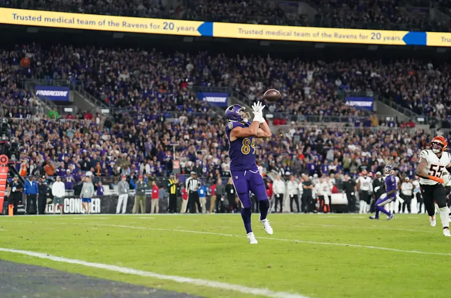 ravens