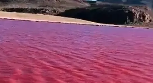 rio
