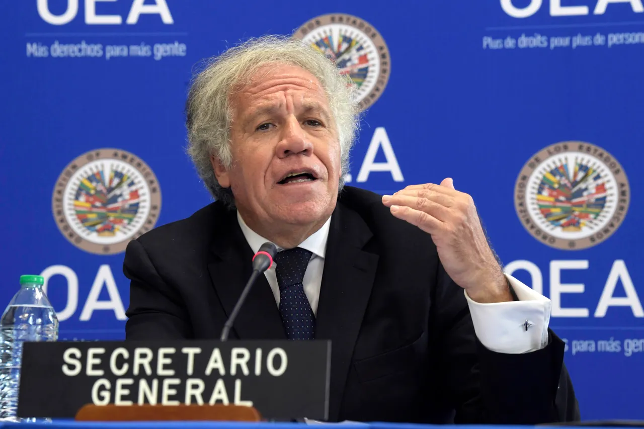 ALMAGRO OEA DF