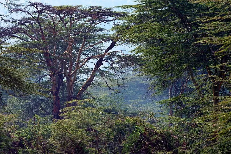 ruanda