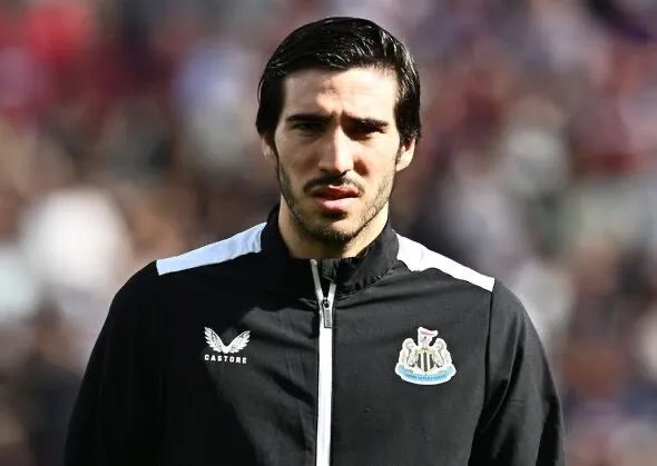 sandro t