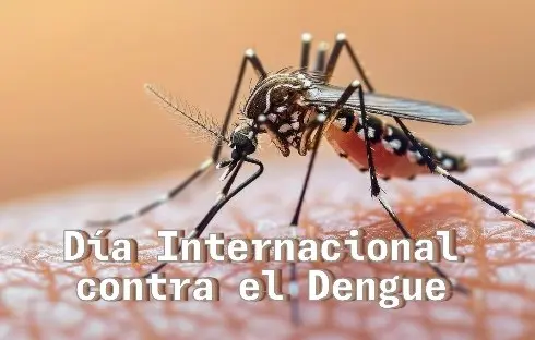 Día Internacional contra el Dengue