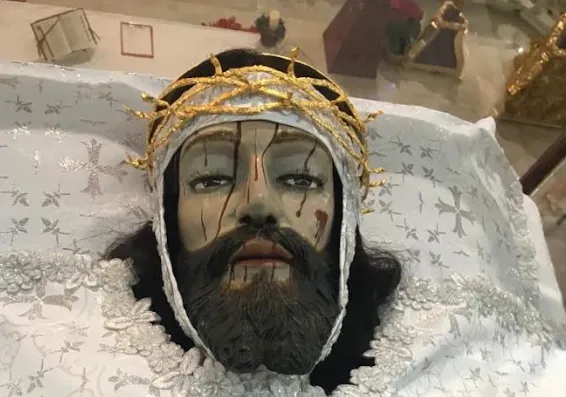 seggg