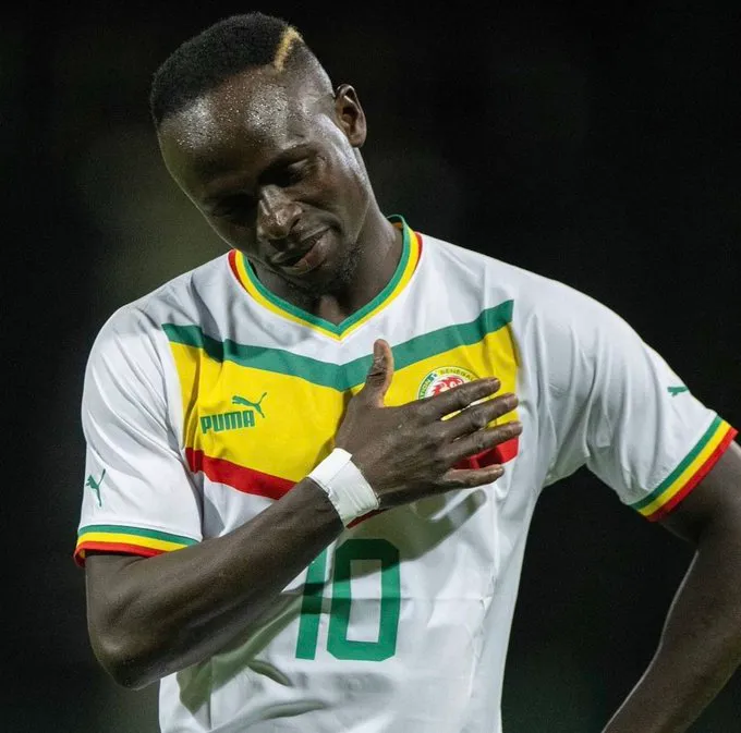 senegal mane