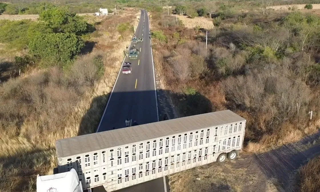 sinaloa
