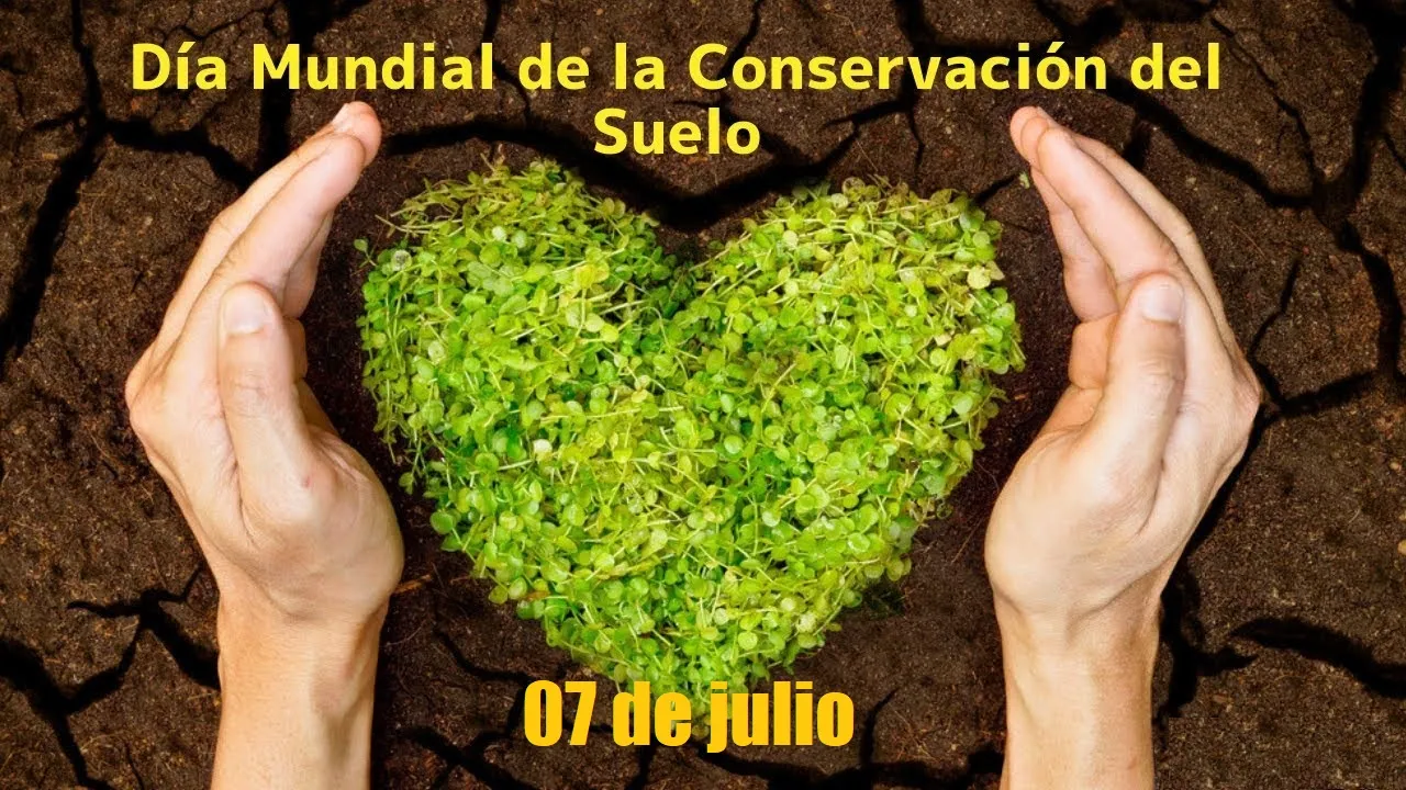 sualooo